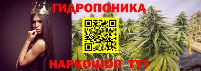 ECSTASY Кандалакша