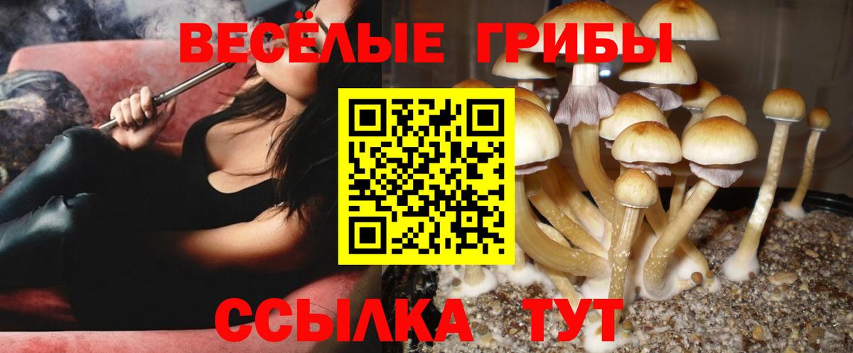 Ликино-Дулёво  где найти наркотики  Вход с VPN  Галлюциногенные грибы Magic Shrooms 