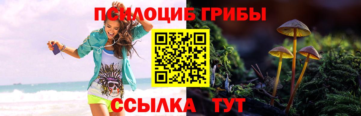 Галлюциногенные грибы Cubensis Ликино-Дулёво